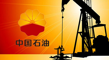 【中國石油】【人力資源內控體系】-成都管理咨詢公司